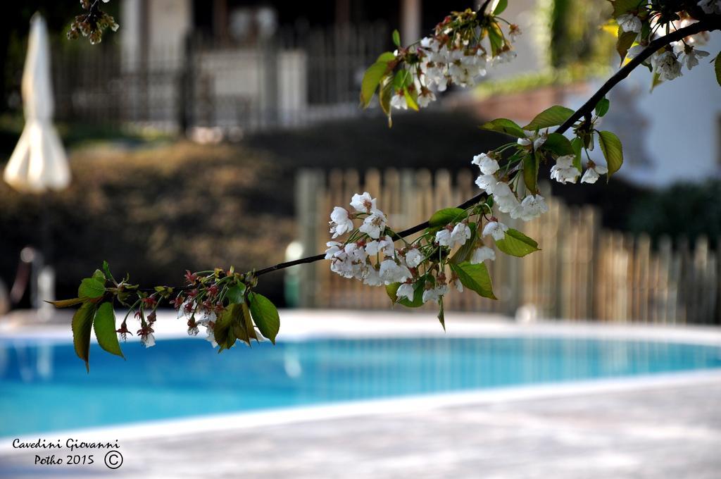 Agriturismo & Agricamping Serena 파스트렌고 외부 사진